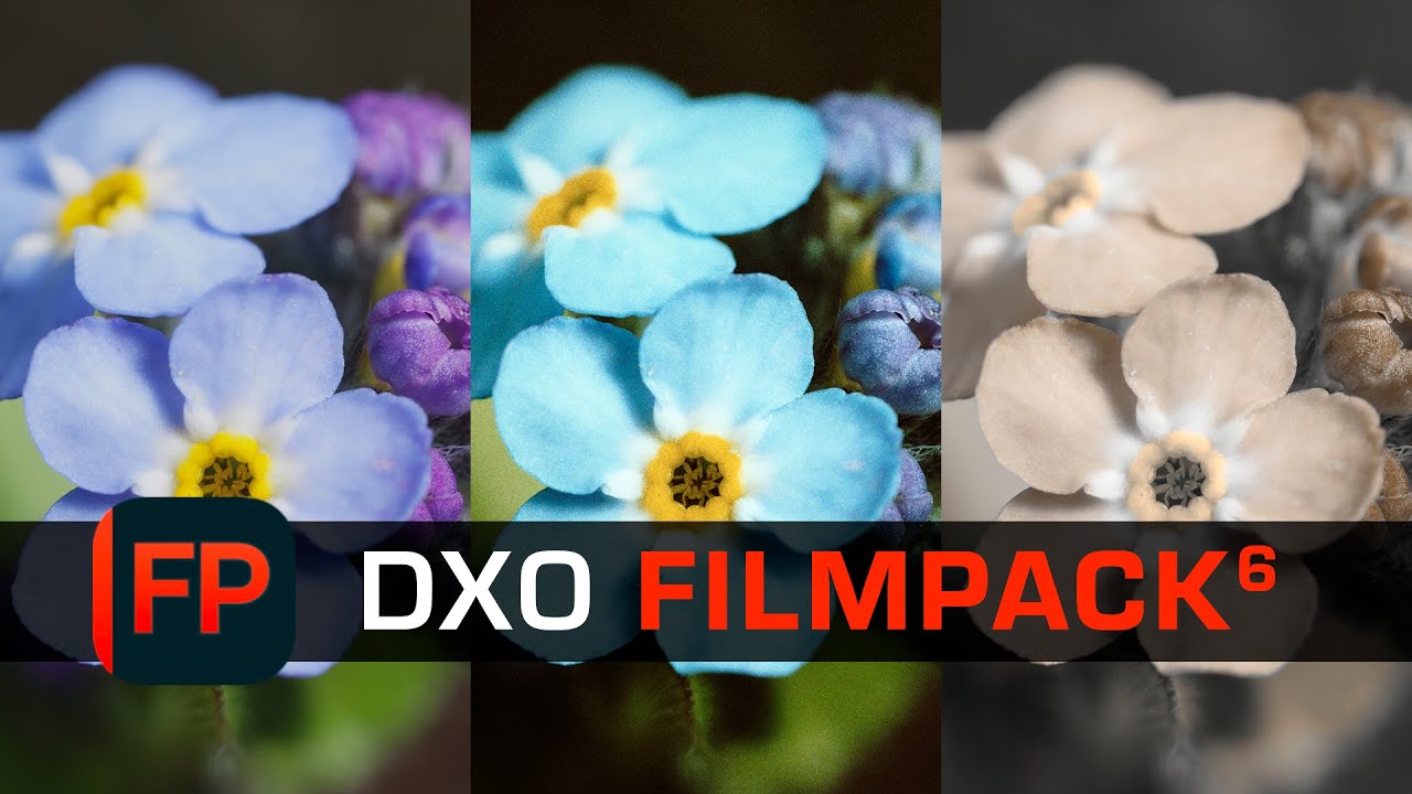 Donnez un RENDU de FILM ARGENTIQUE à vos PHOTOS numériques avec DxO FilmPack 6.