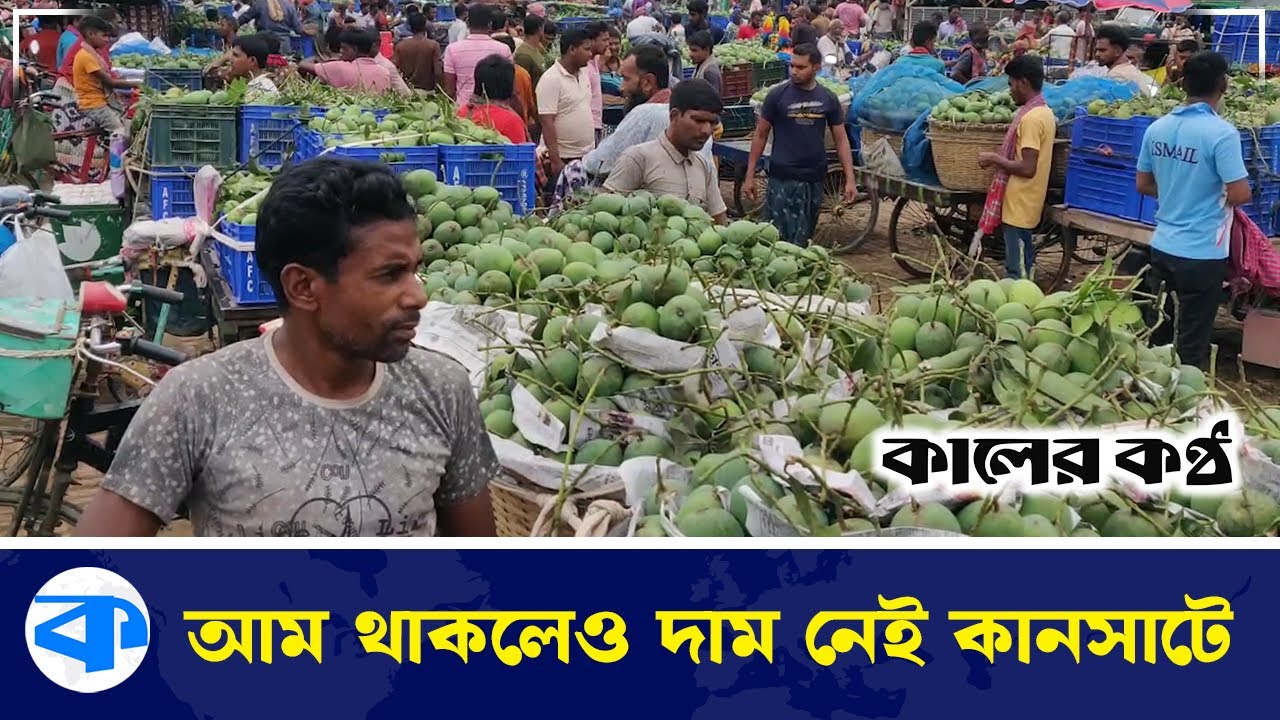 কানসাট আম বাজারে বাড়ছে আমের সমারহ, দাম নিয়ে চাষিদের হতাশা | Chapainawabganj | Mango Market