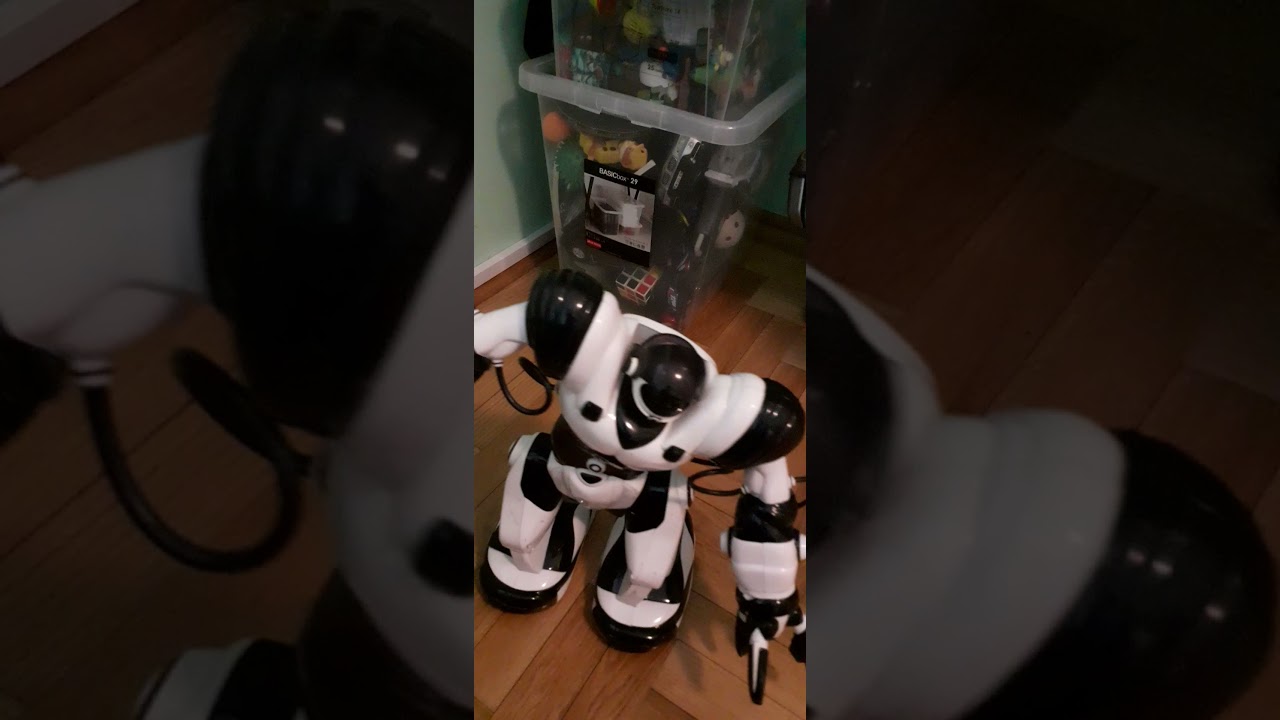 Robosapien factory test mode(motor)