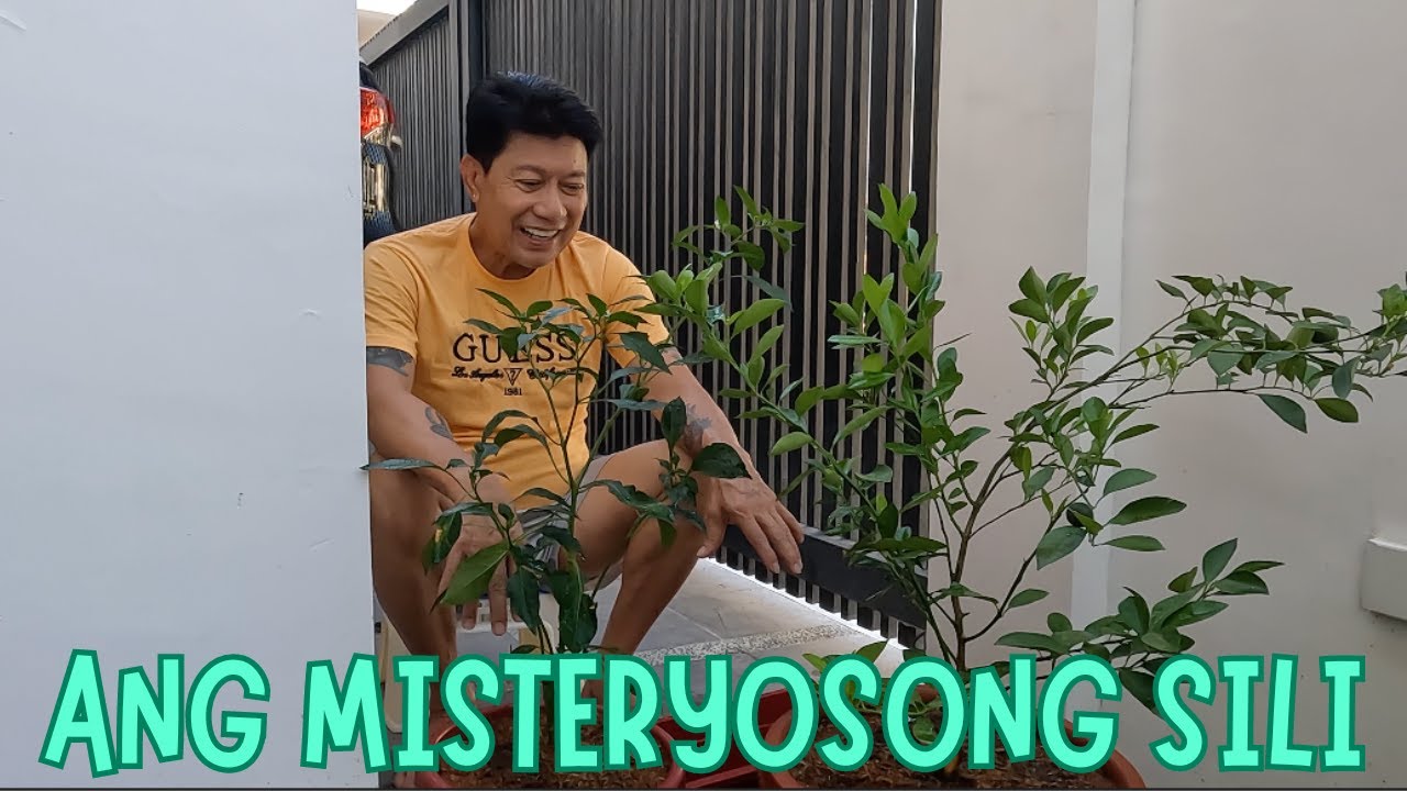 MISTERYOSONG SILI | MOTHER'S DAY THOUGHTS AND MUSINGS | LOVING YOURSELF | BOY PLANTITO