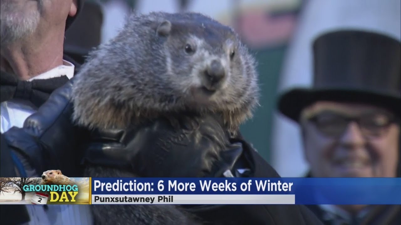 Matt Brickman: 'The Rat Has Spoken'