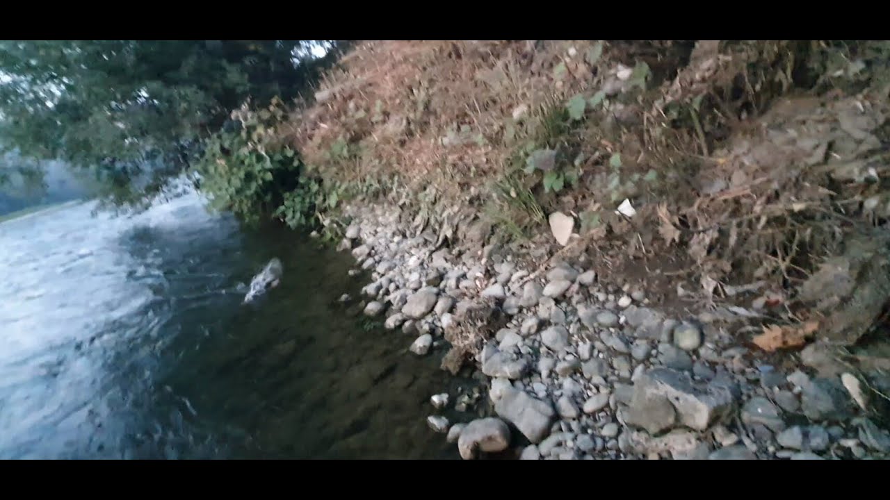 Pecanje Vrbas Banja Luka, jedan neočekivan ulov!