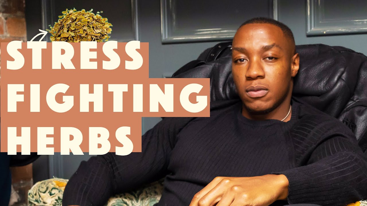 4 HERBS for stress & anxiety. Natural stress relief tips