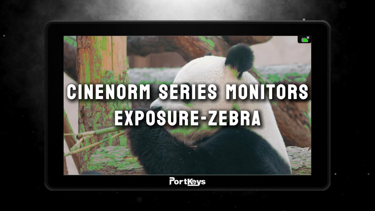 CINENORM OS: Exposure—Zebra