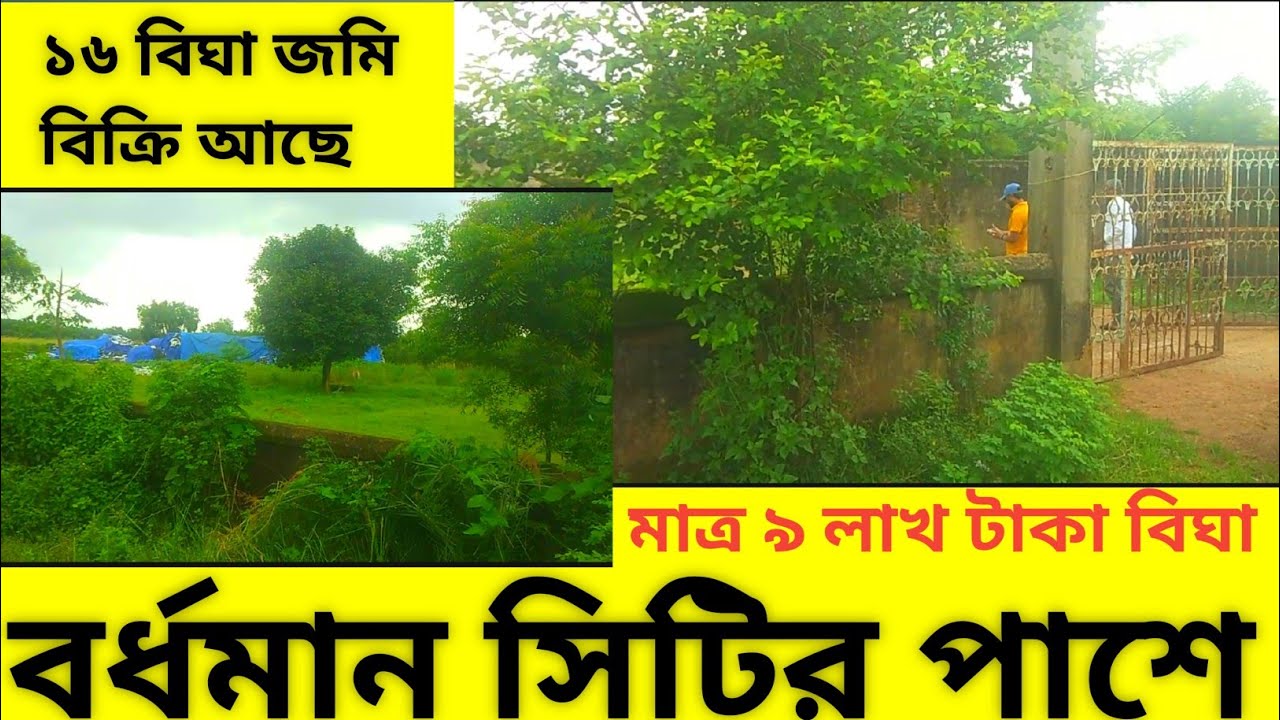 বর্ধমান সেটের পাশে ১৬ বিঘা জমি 18 বিঘা জমি ৬ বিঘা জমি কম বাজেটের মধ্যে কিনুন