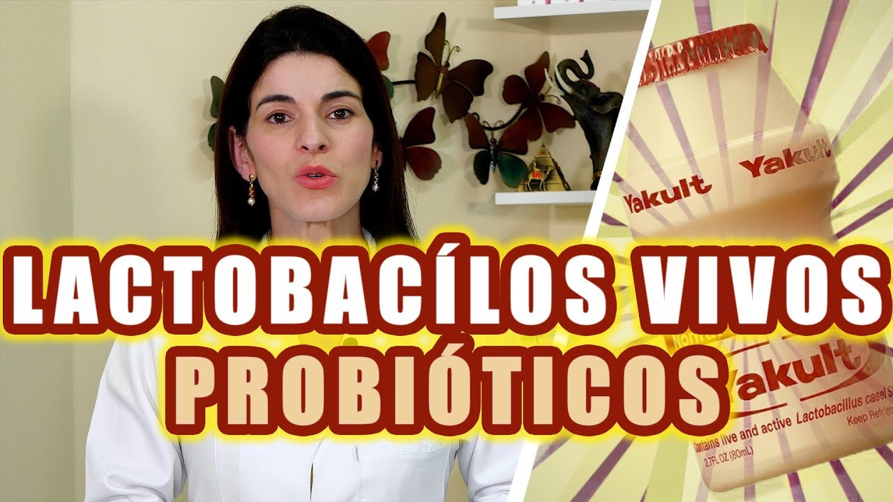 LACTOBAC&Iacute;LOS VIVOS - Benef&iacute;cios do Yakult, Kefir e outros Leites Fermentados