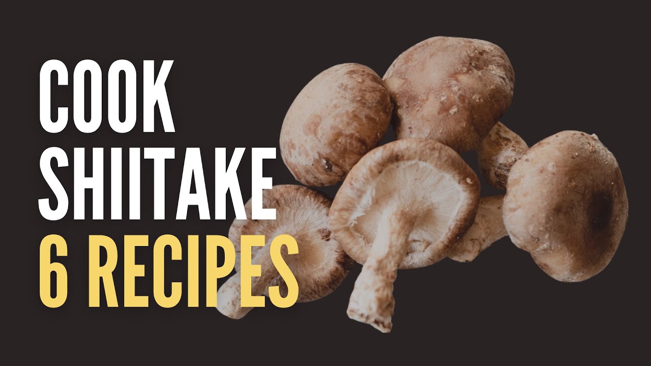 How To Cook With Shiitake Mushrooms: 6 Delicious And Easy Recipes!