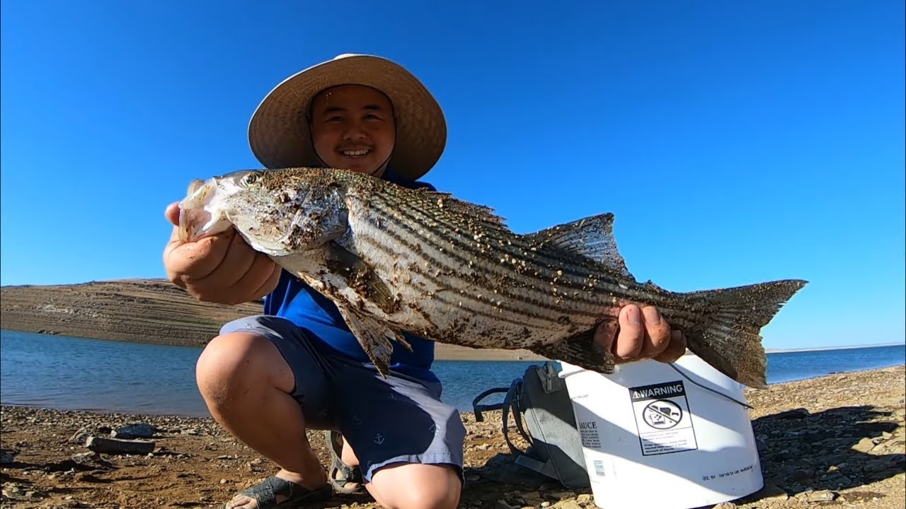 FISHING the SAN LUIS RESERVOIR (SUMMER BAITS THAT ASIAN FISHERMANS WON'T TELL YOU!!! )