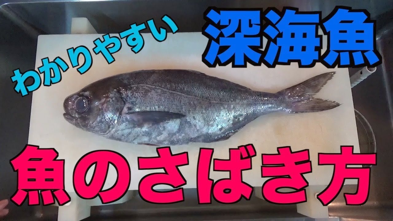 【プロ】魚捌き方【目鯛〜メダイ〜】わかりやすい。深海魚。