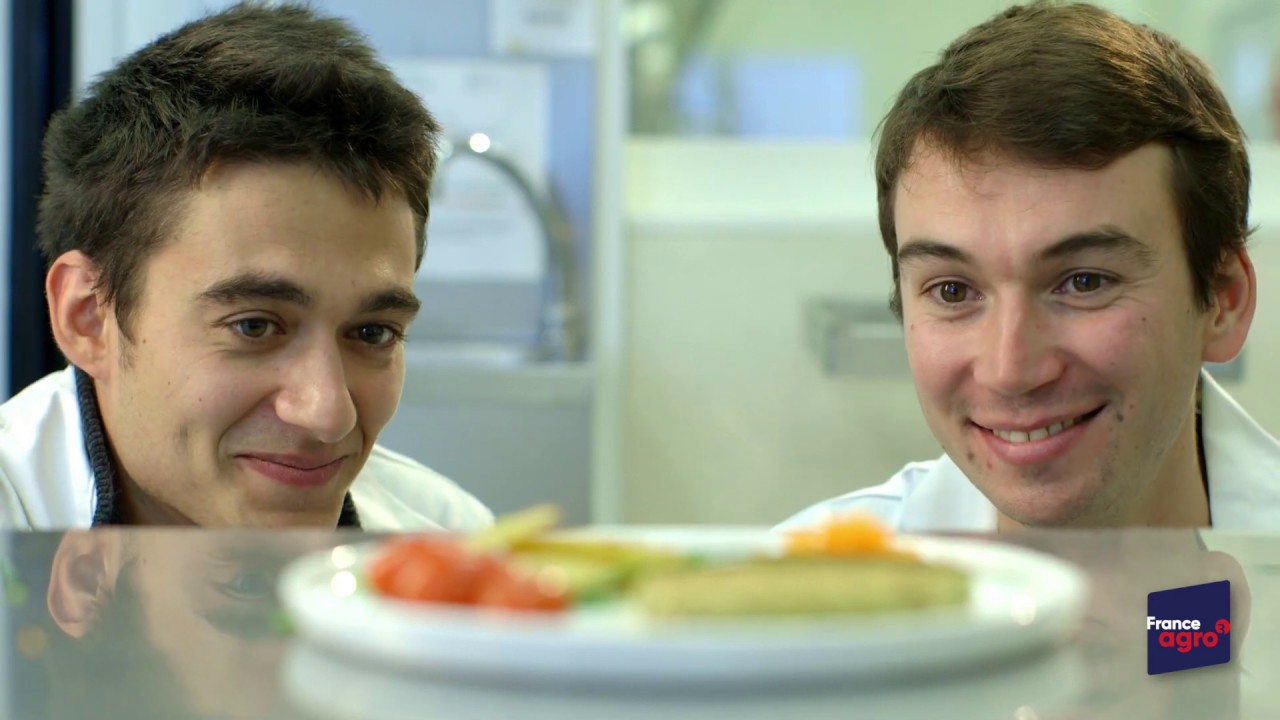 Les ingénieurs agronomes et leurs métiers | ESA ANGERS