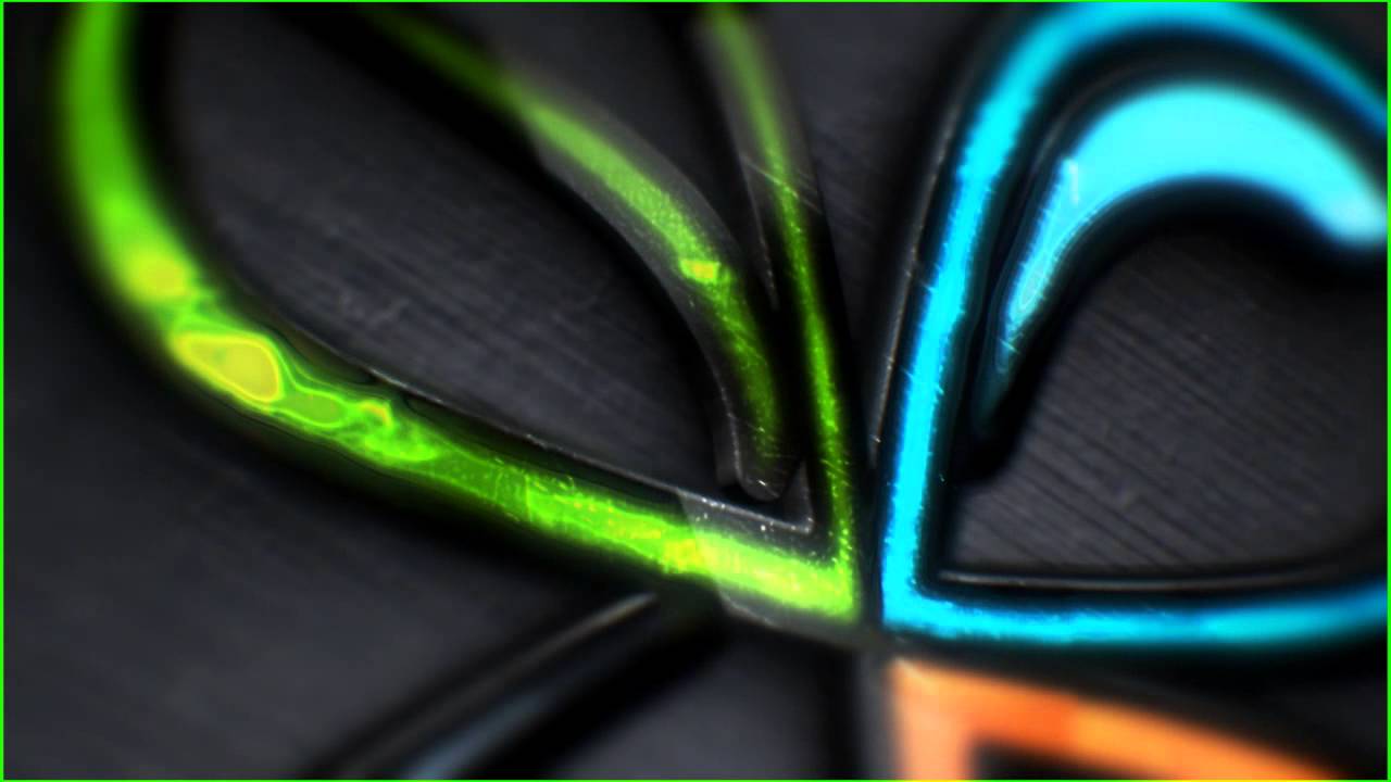 TREBOL ESTUDIO