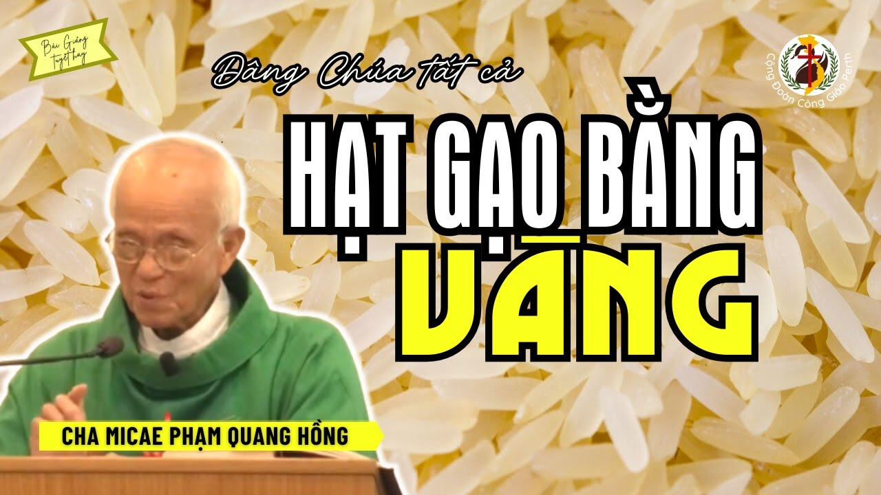 Hạt gạo bằng vàng 👴 Bài Giảng Cha Phạm Quang Hồng