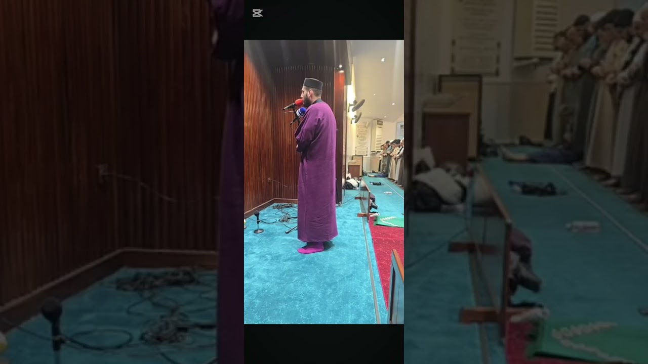 تلاوة هادئة من سورة آل عمران وائل دحة 🤍