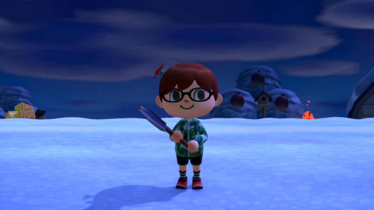 Playing Animal Crossing New Horizons & Splatoon 2