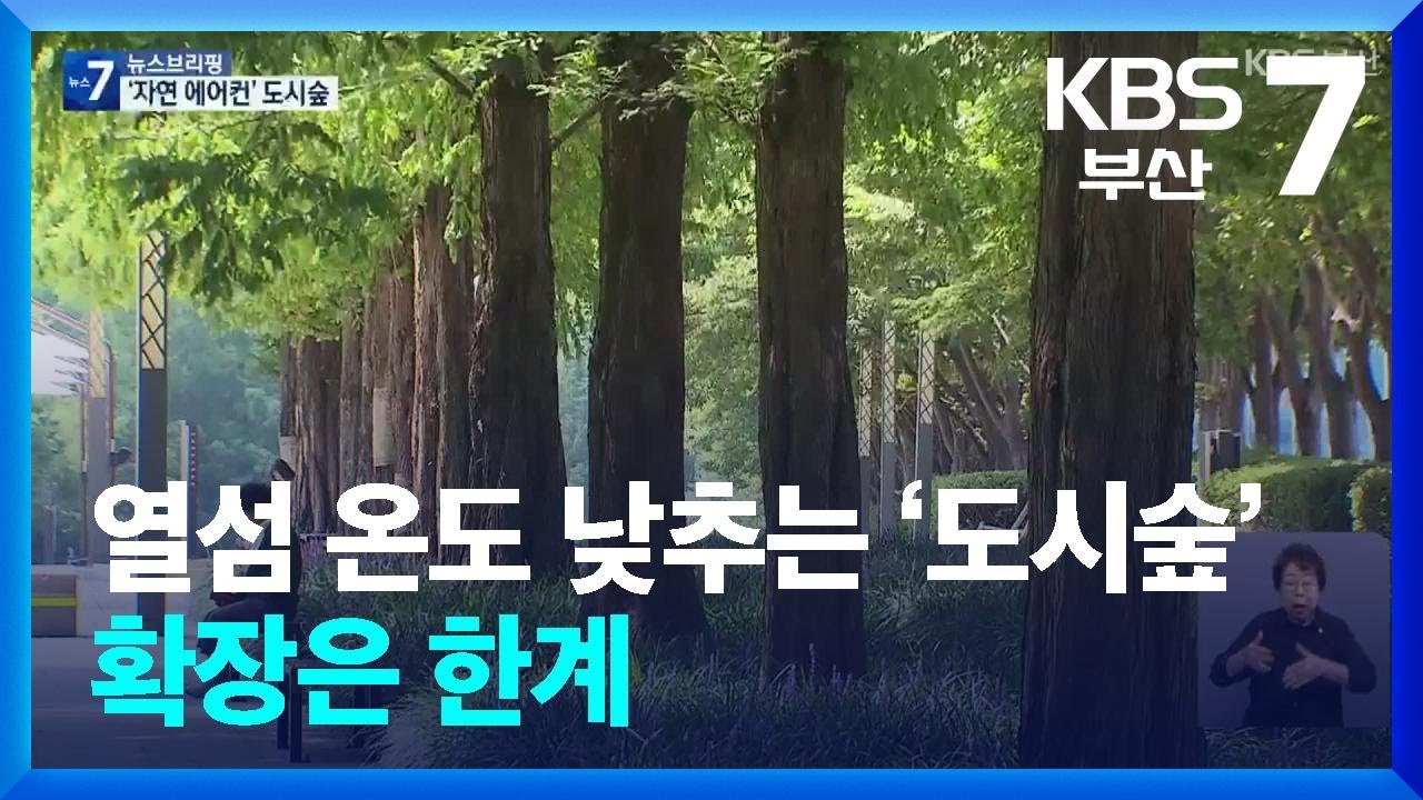 열섬 온도 낮추는 &lsquo;도시숲&rsquo;&hellip;확장은 한계 / KBS  2024.08.13.