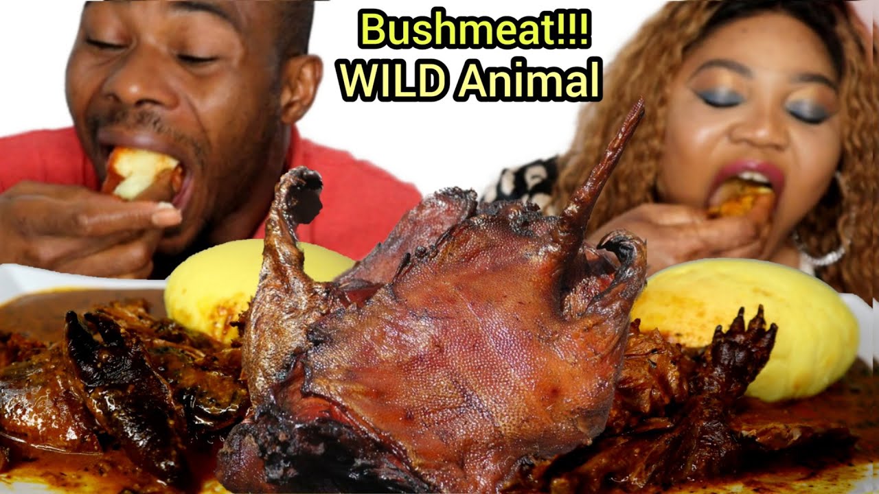 Extreme Bushmeat!! Nigeria's WILD Animal Wth Ogbono Soup and Fufu | Speed Eating Challenge | MUKBANG