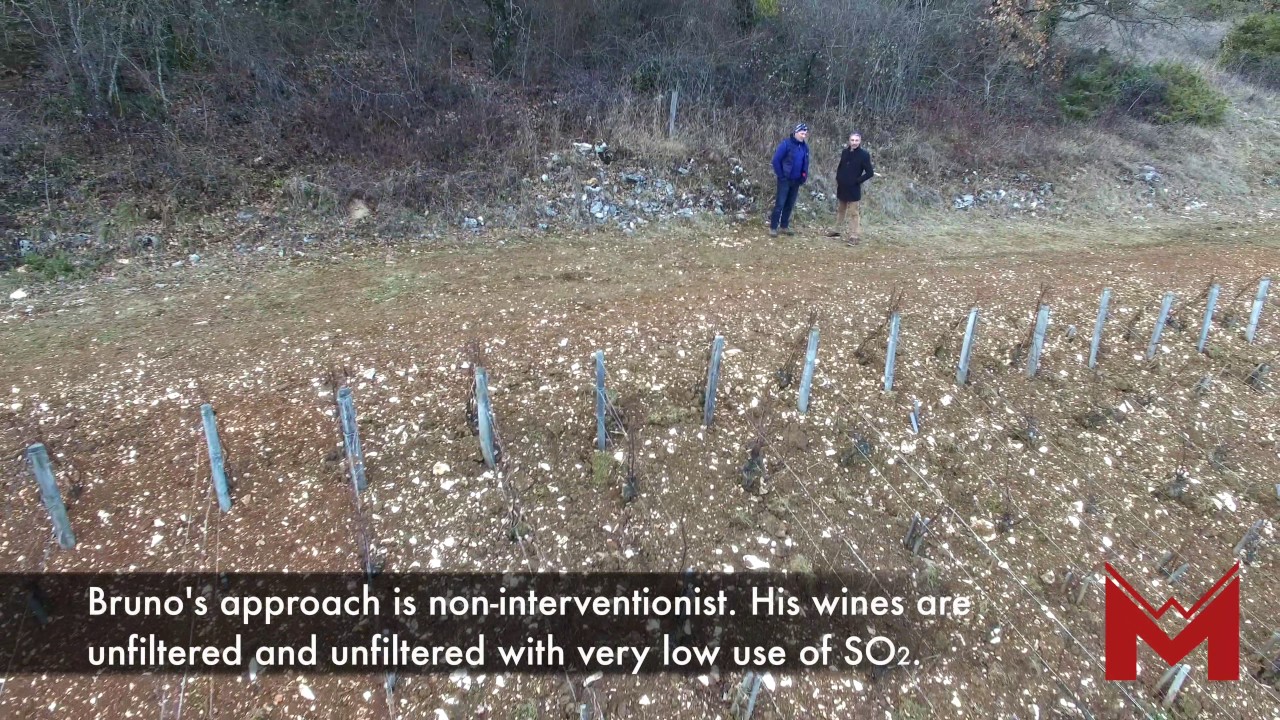 Domaine Bruno Clavelier