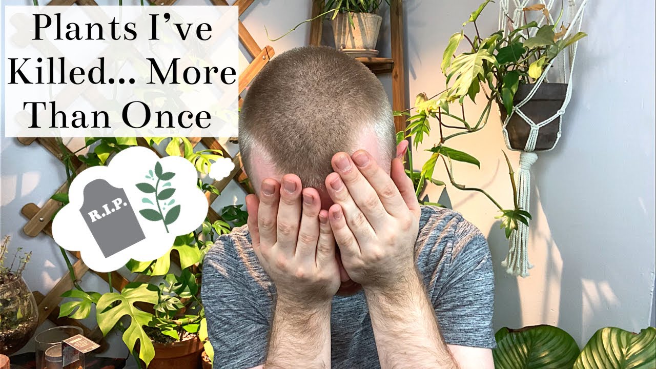Plants I Have Killed... More Than Once