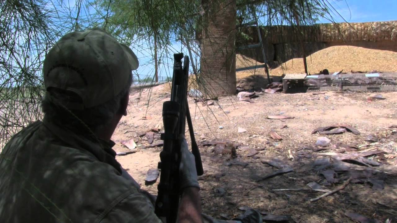 Hunting with a Spring Piston Air Rifle