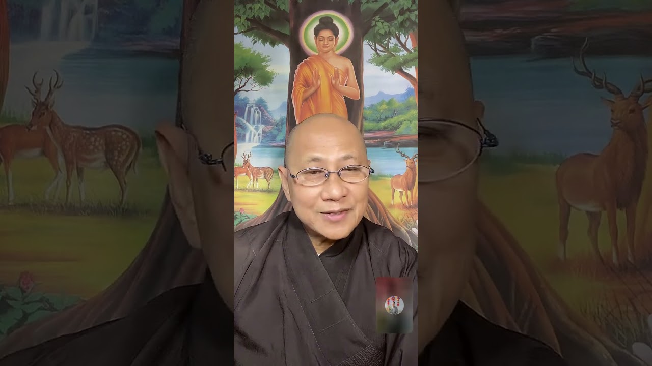 LIVE Ở MỸ TỐI NGÀY 11-2-2026 