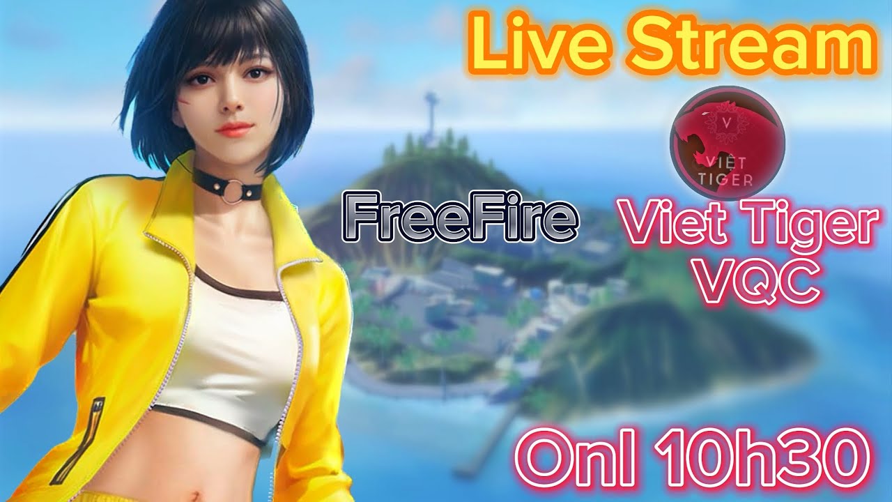 Team Code Leo Thách Đấuuu | Viet Tiger VQC
