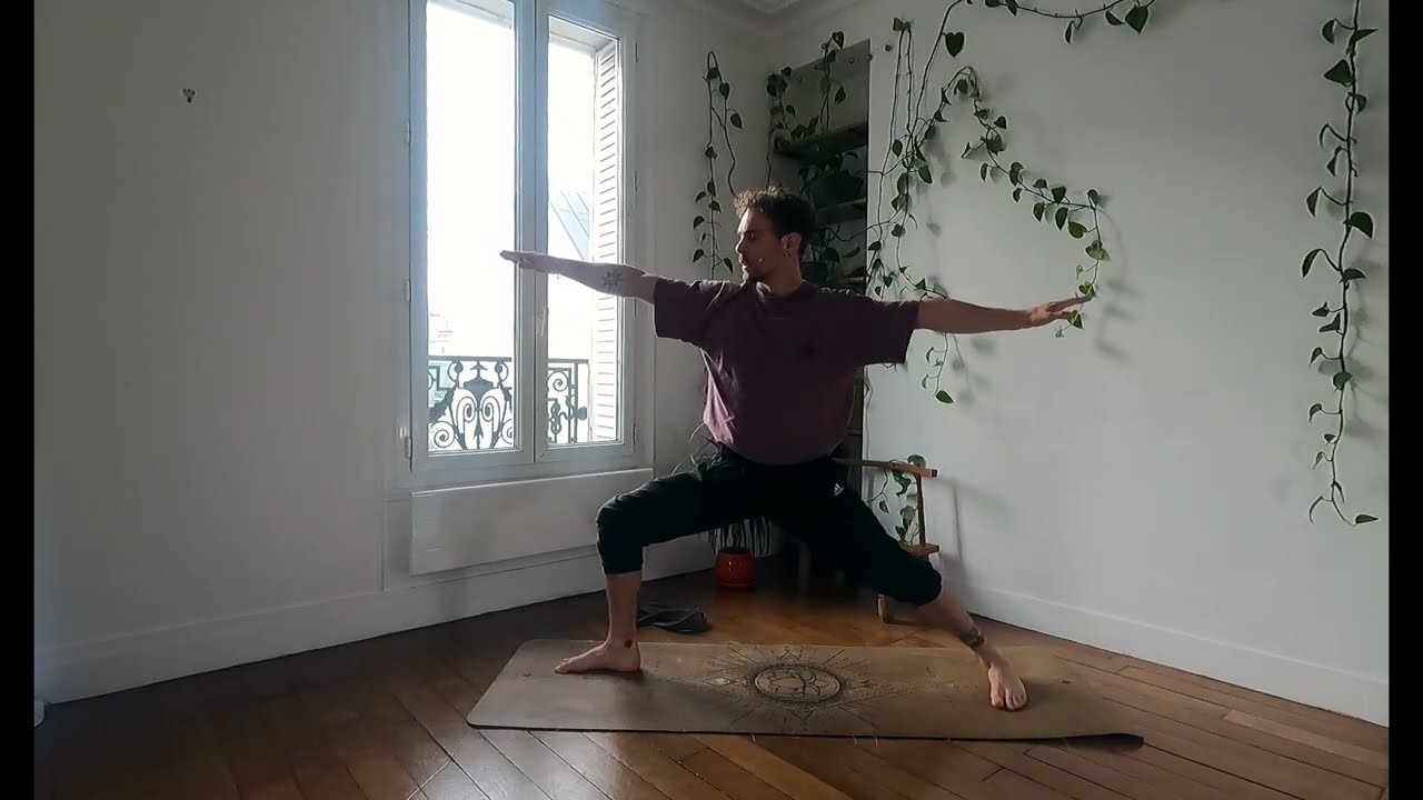Flow like a Bird