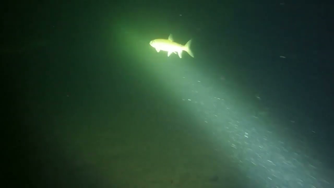 Big Green Lake, Wisconsin - Crossing in Rebreather Scuba Gear - LOTS of lake trout!