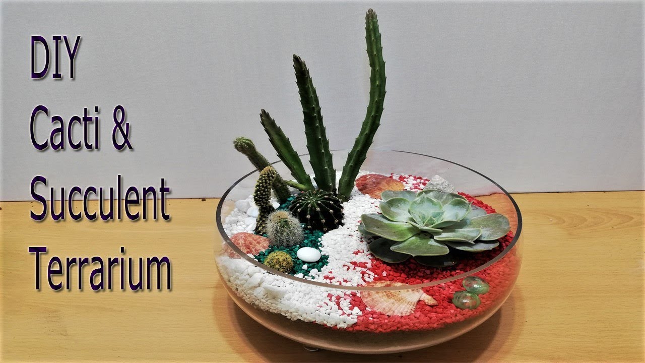 DIY Succulent & Cacti Terrarium