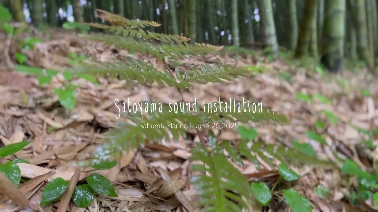 サウンドインスタレーション「竹×雨×ピアノ」（sound installation）bamboo×rain×piano