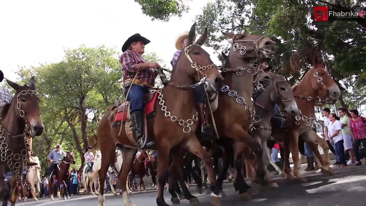 20º Desfile de Cavaleiros e Amazonas de Andradas MG HD