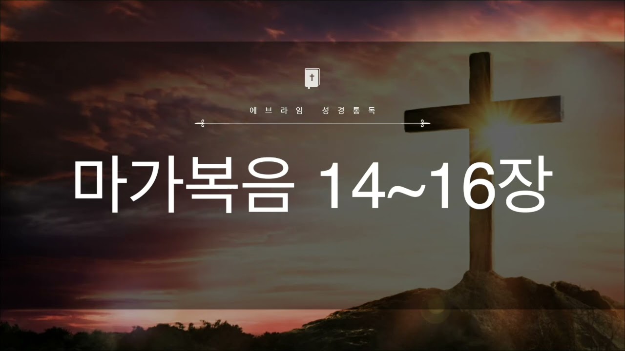 15일차 마가복음 14~16장