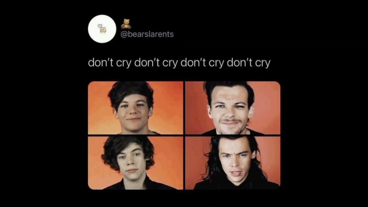 One direction memes to make you laugh by Morgan memes//////////751