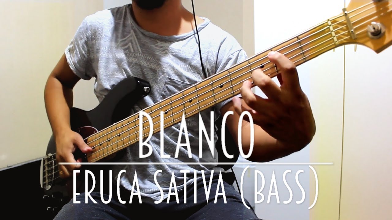 Blanco - Eruca Sativa (bass cover)