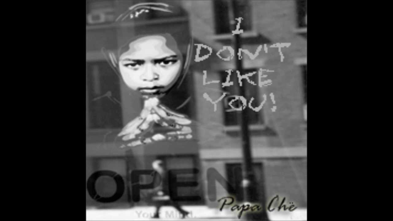 Papa Che - I Dont Like You - Audio