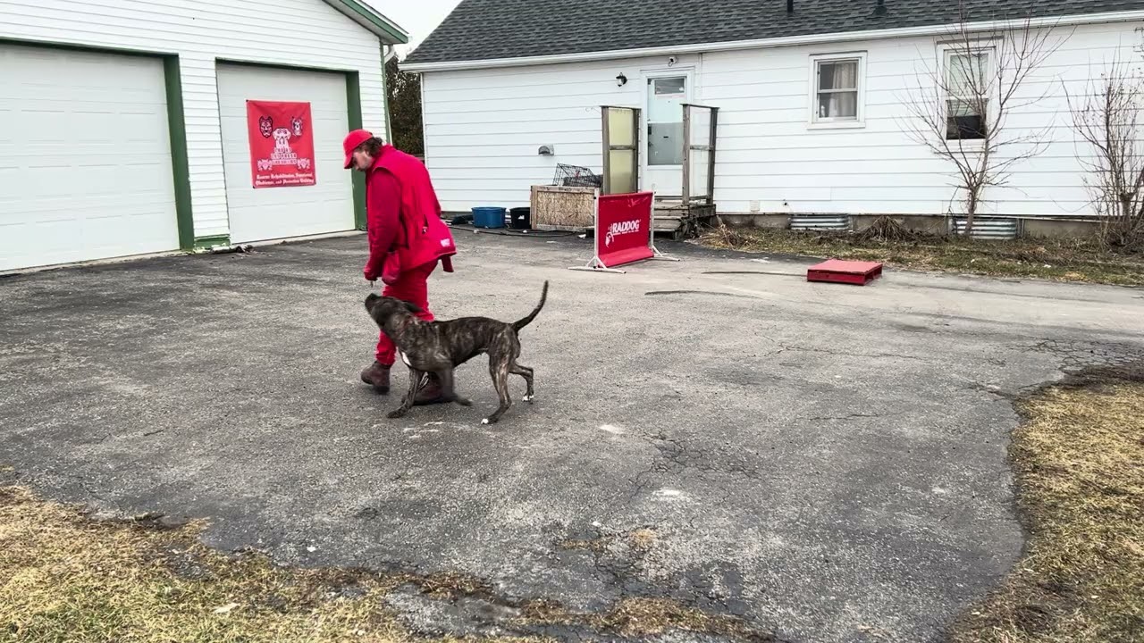 Maze getting back to it with some jump too place training!