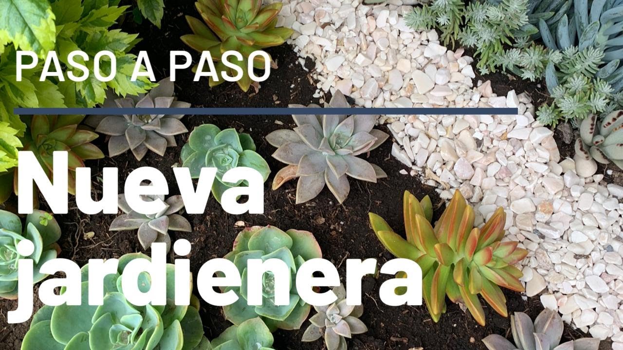 suculentas en jardinera + plantando juntos
