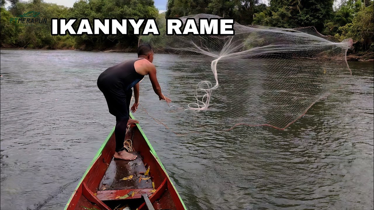 SUNGAI DANGKAL & JERNIH, SEKALI TEBAR JALANYA LANGSUNG BERAT‼️