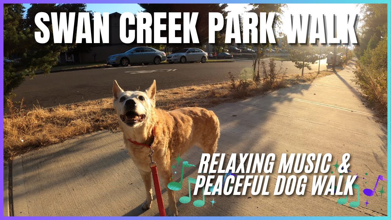 Swan Creek Park - Relaxing Music & Dog Walk