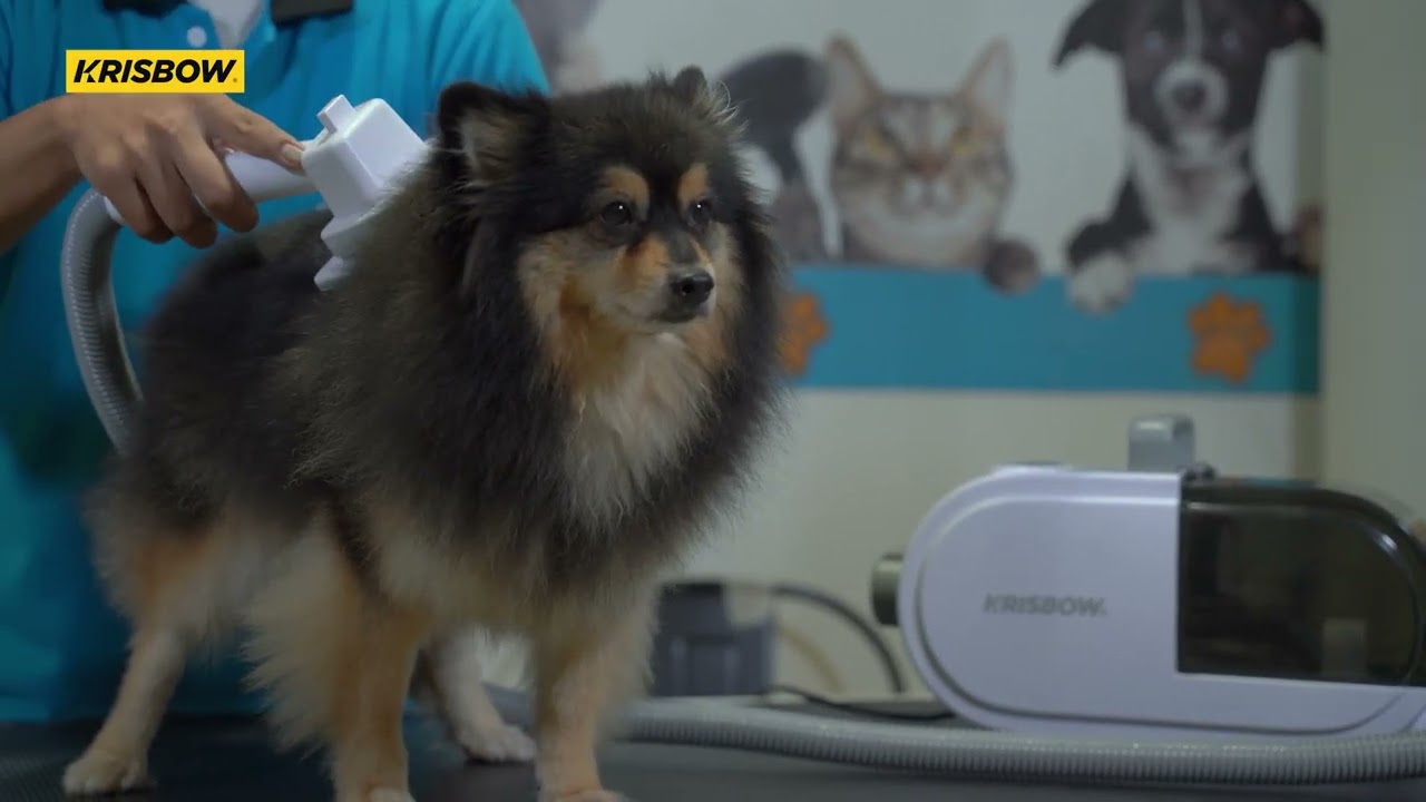 PET BLOWER AND GROOMING VACUUM FRVCD2 6
