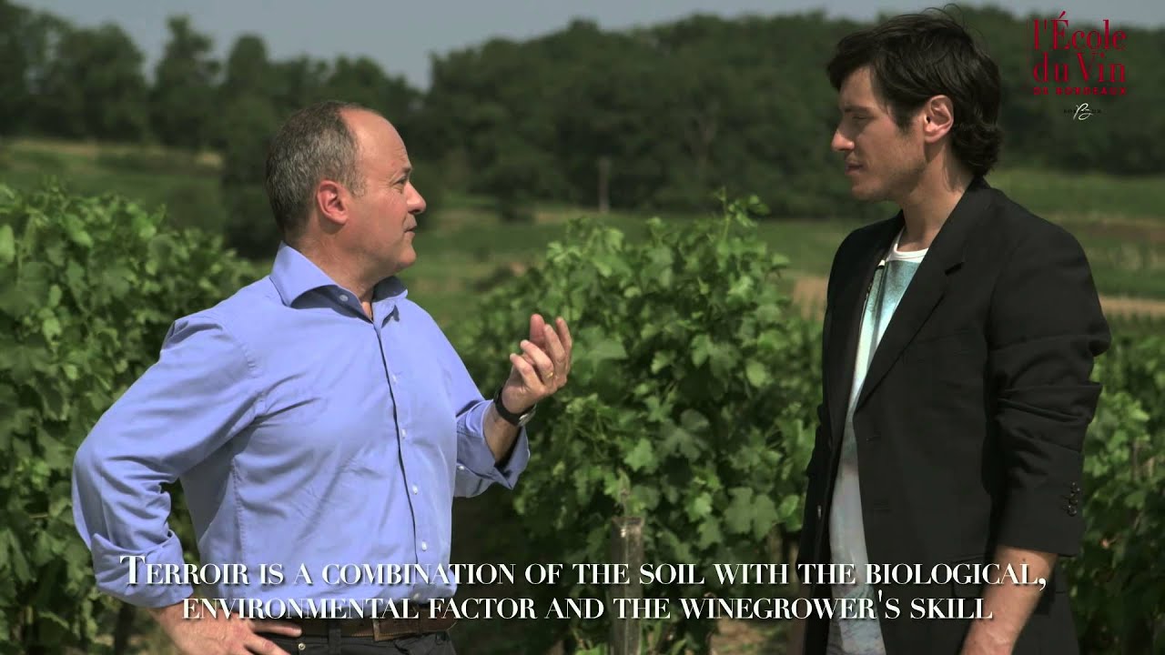The terroir