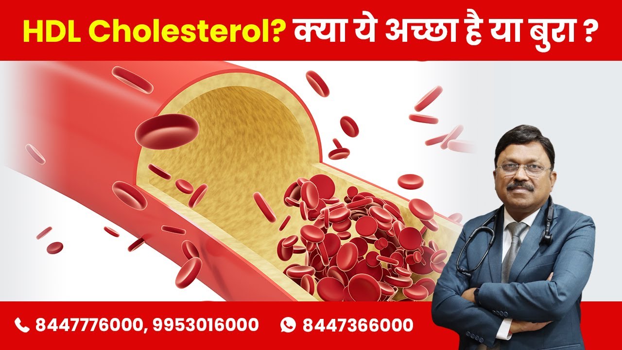क्या होता है HDL Cholesterol ? क्या ये अच्छा है या बुरा ?What is HDL Cholesterol ? Is it good or bad