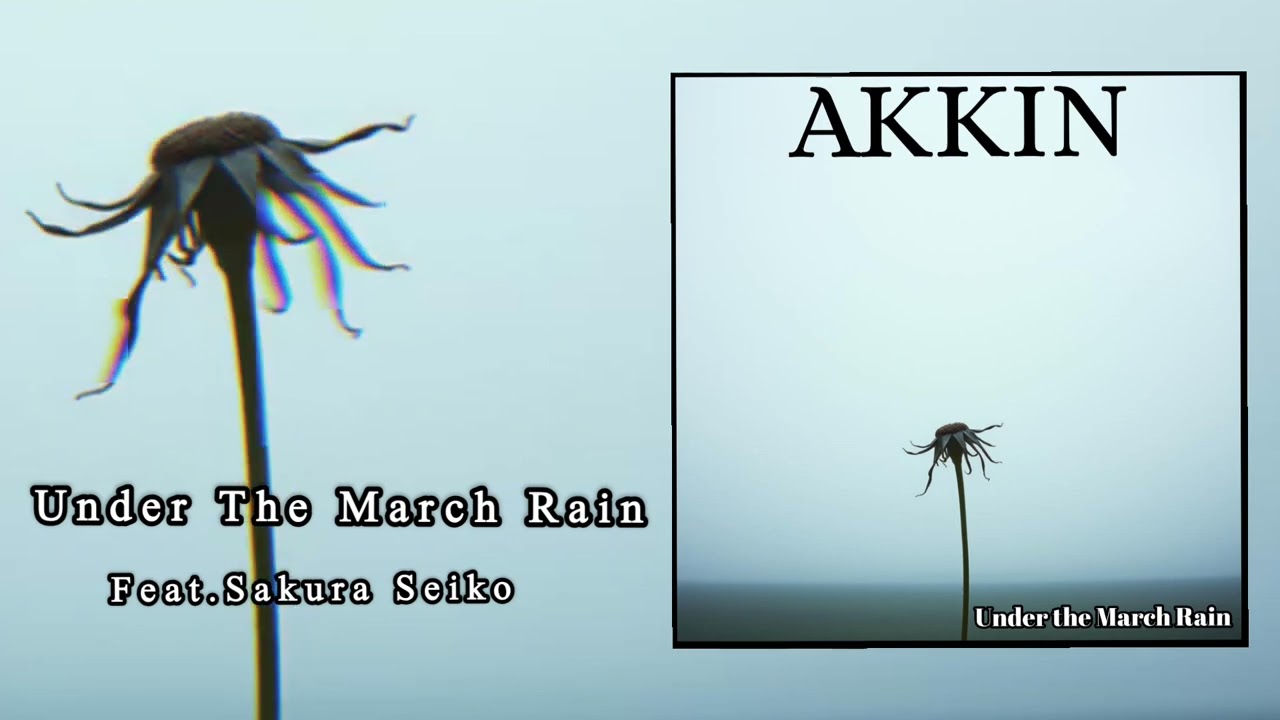 Akkin-Under the march rain (feat.Sakura Seiko)