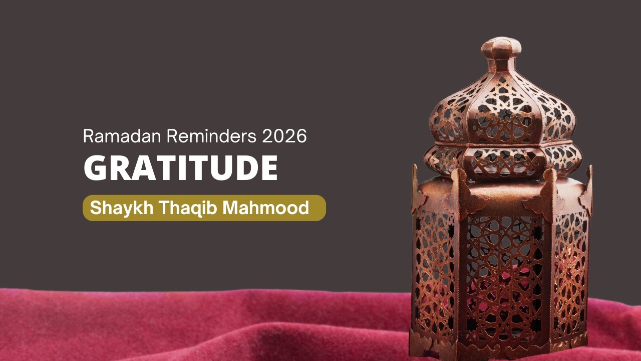 Gratitude | Shaykh Thaqib Mahmood
