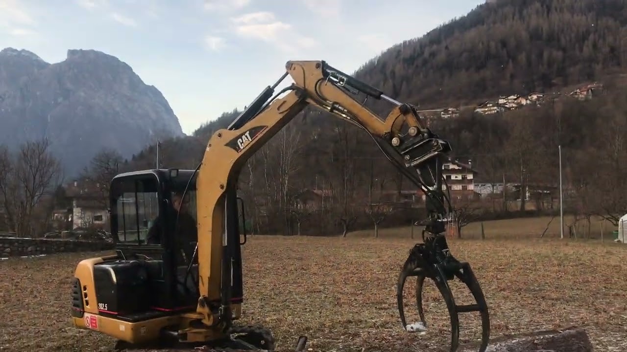 Cat 302.5 con pinza forestale