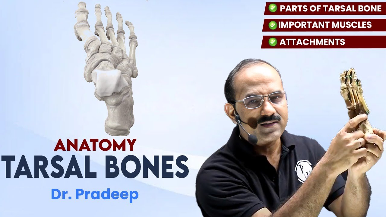 Tarsal Bones | Anatomy | Hard Parts Made Easy with Dr. Pradeep Pawar