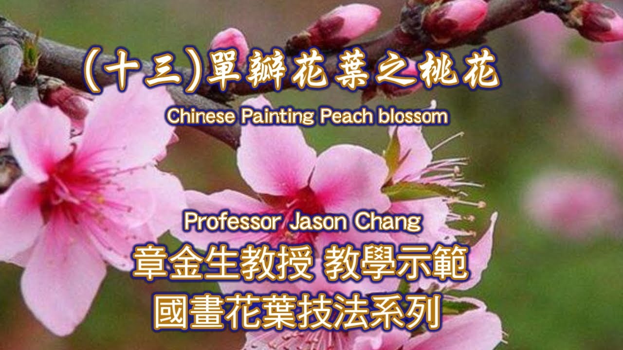 章金生教授 單瓣花葉(十三) 桃林春聲: 分享畫畫3階段, 桃花與鳥畫法示範(4'18