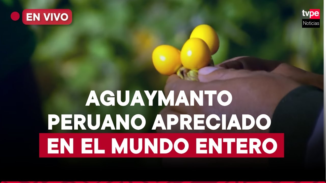 Perú, líder en aguaymanto orgánico | “Mercado peruano”
