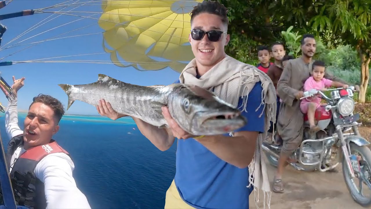 Oddih v Egiptu - Egypt Getaway: Giant Barracuda