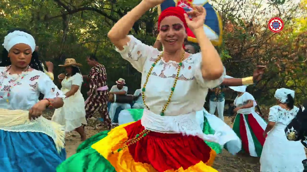 Flor do Samba 2025 | Clipe Oficial