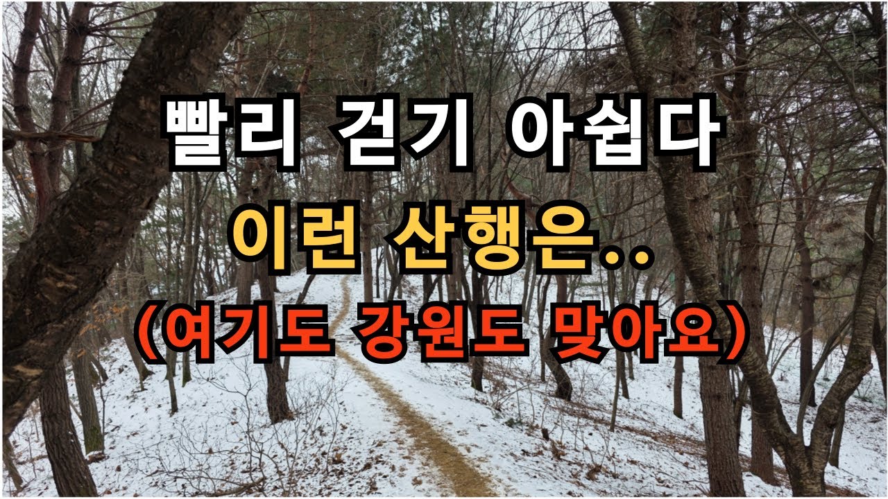 빨리 걷기 아쉬운..능선이 아름다운 산행 / 완전초보 가능해요